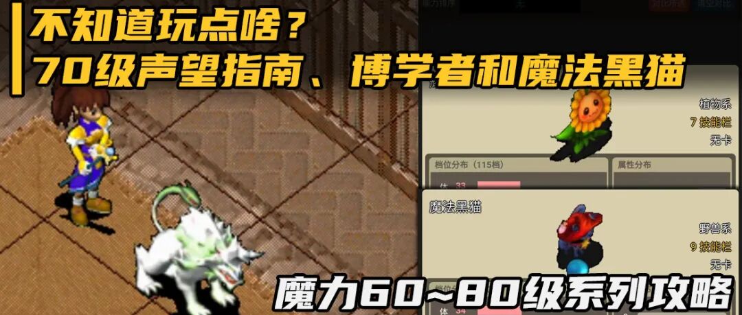 魔力攻略不知道玩点啥70级声望指南博学者和魔法黑猫60至80级系列之九